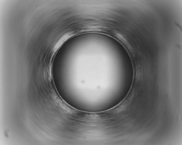 X0000100221370200805301338