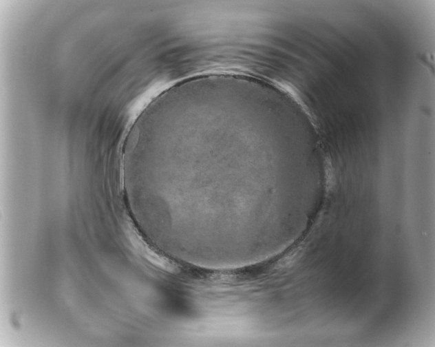 X0000100221371200805301338