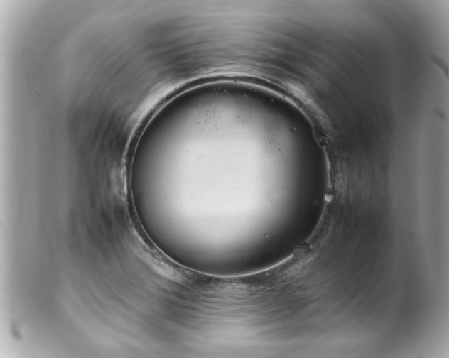 X0000100221372200805301338