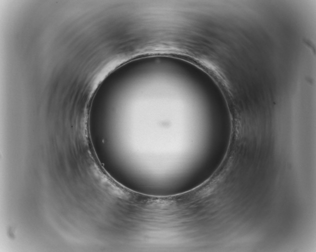 X0000100221374200805301338