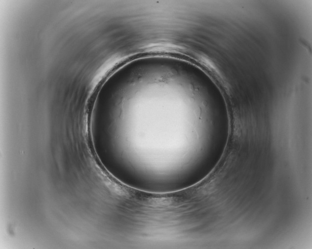 X0000100221376200805301338