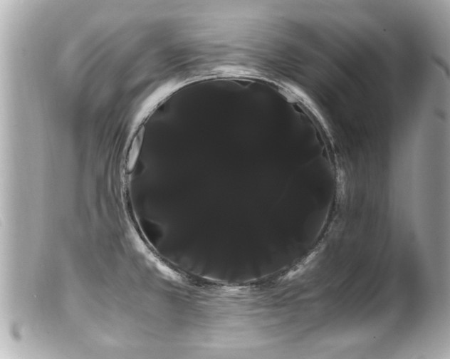 X0000100221381200805301338