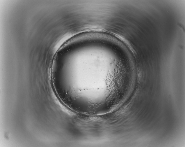 X0000100221383200805301338