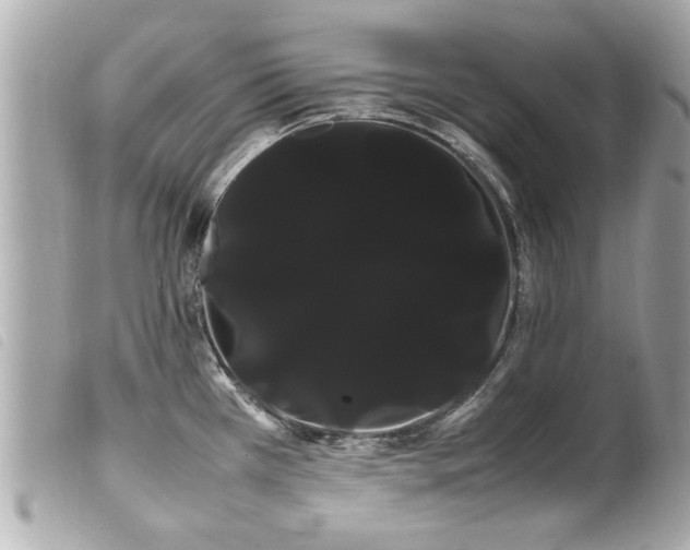 X0000100221385200805301338