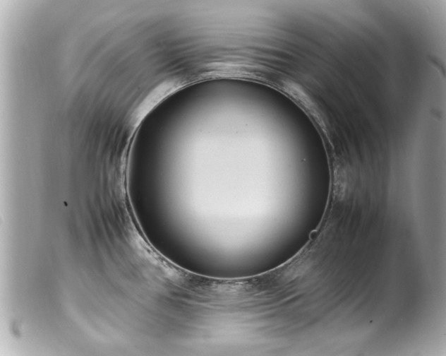 X0000100221386200805301338