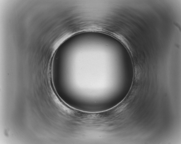 X0000100221387200805301338