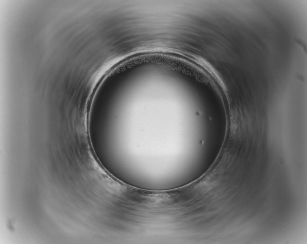 X0000100221388200805301338