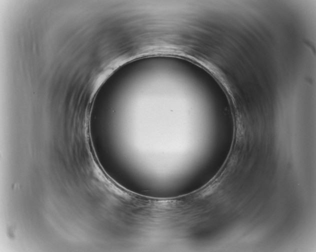 X0000100221390200805301338