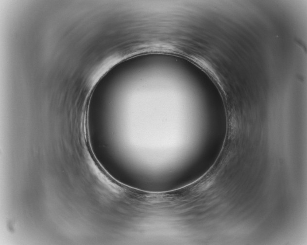X0000100221391200805301338