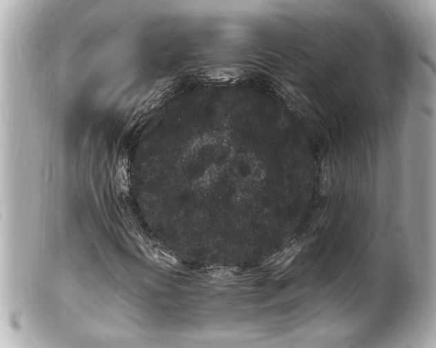 X0000100221394200805301337