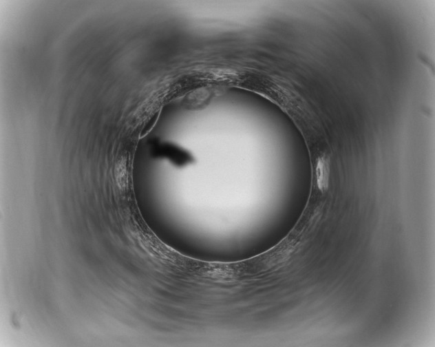X0000100221395200805301337