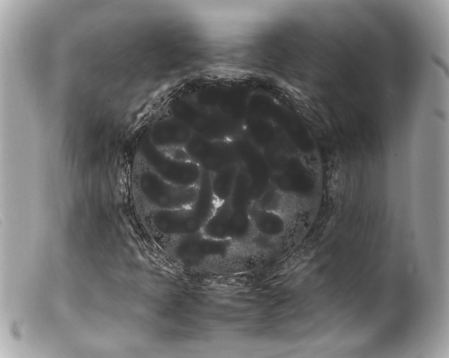 X0000100221397200805301337