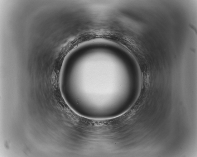 X0000100221398200805301337