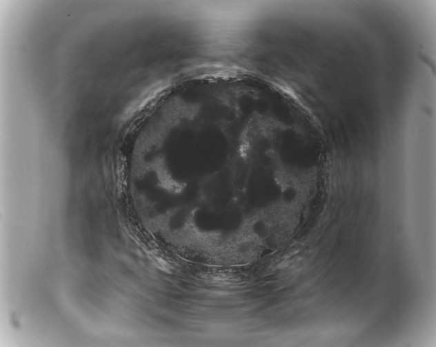 X0000100221399200805301337