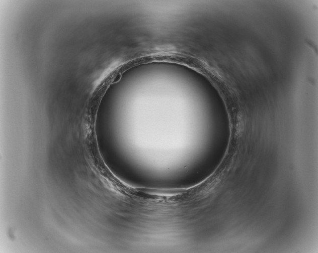 X0000100221400200805301337