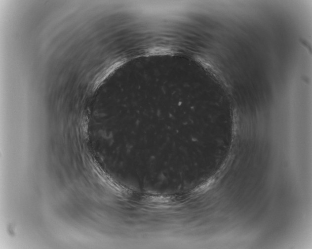 X0000100221401200805301337