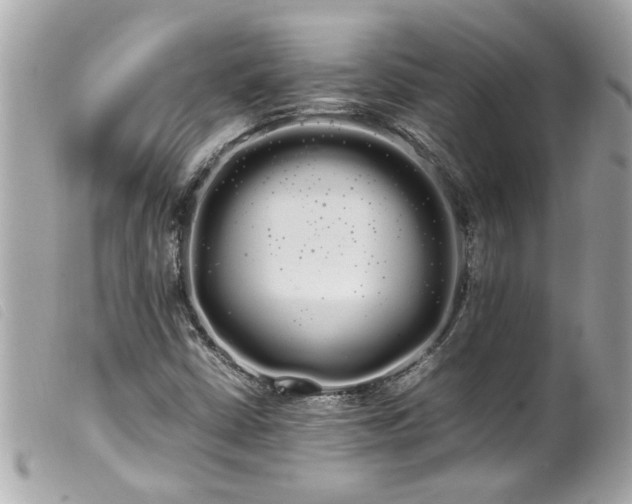 X0000100221402200805301337