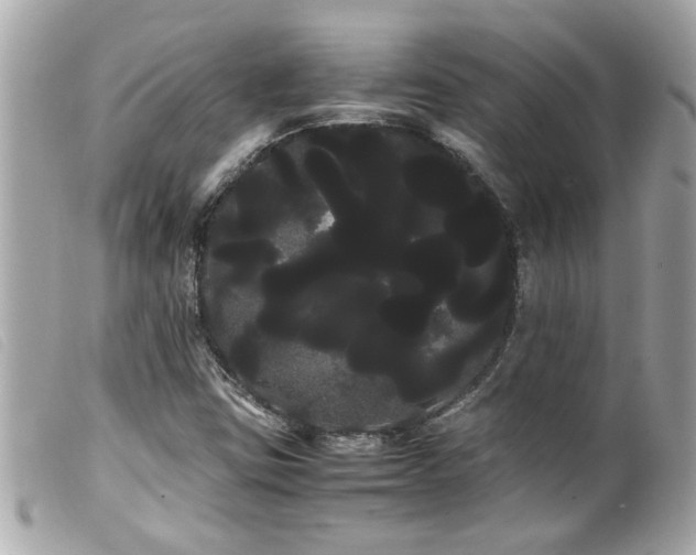 X0000100221403200805301337