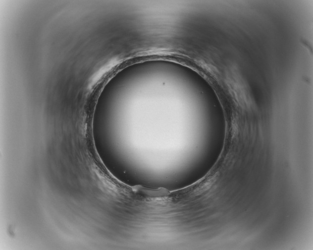 X0000100221406200805301337