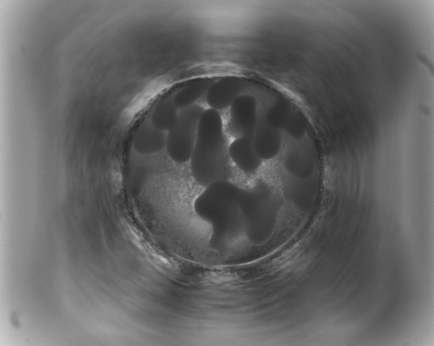 X0000100221407200805301337