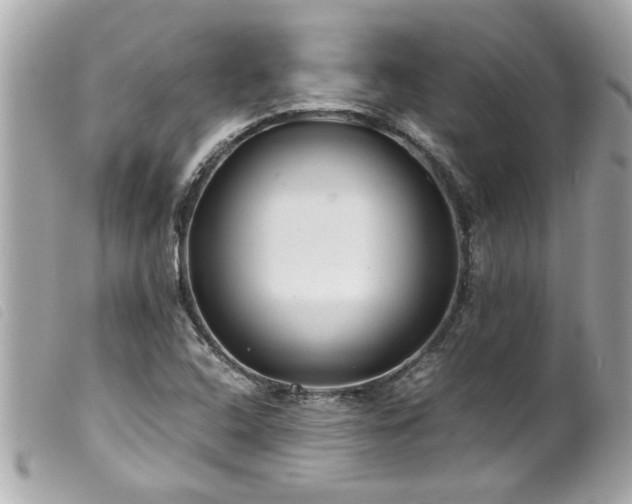 X0000100221408200805301337