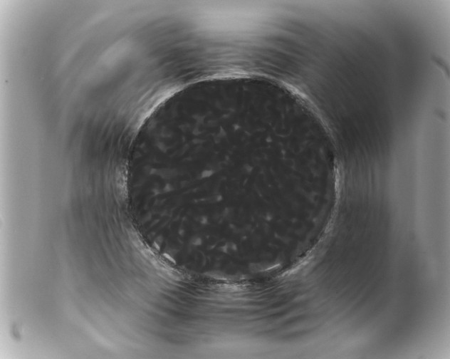 X0000100221409200805301337