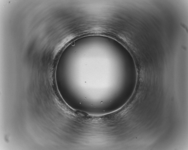 X0000100221410200805301337
