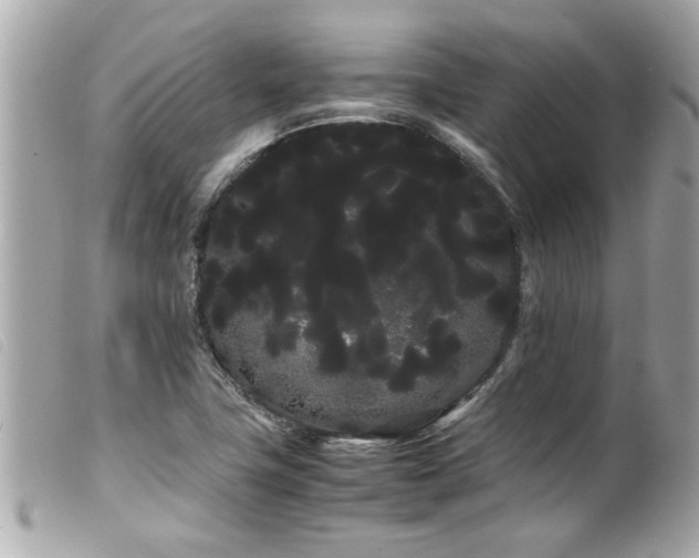 X0000100221411200805301337