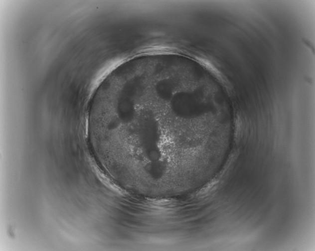 X0000100221413200805301337