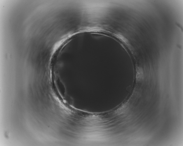 X0000100221414200805301337