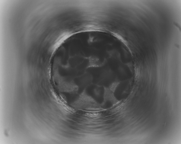X0000100221415200805301337