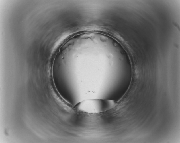 X0000100221416200805301337