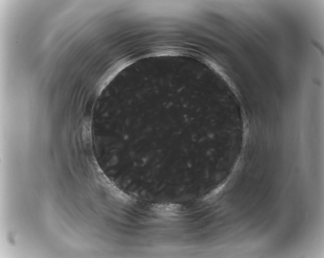 X0000100221417200805301337