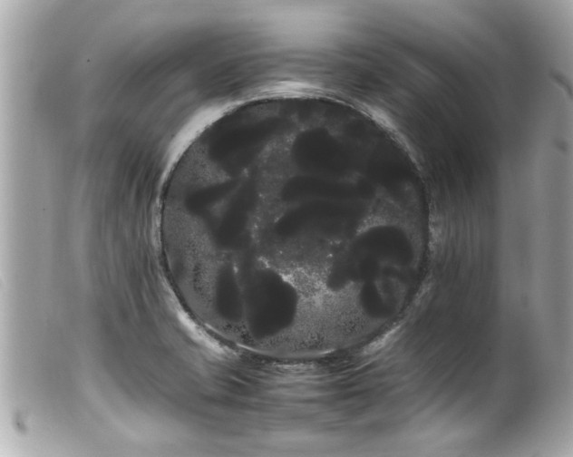 X0000100221421200805301337