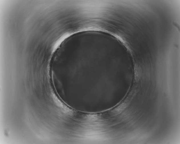 X0000100221422200805301337