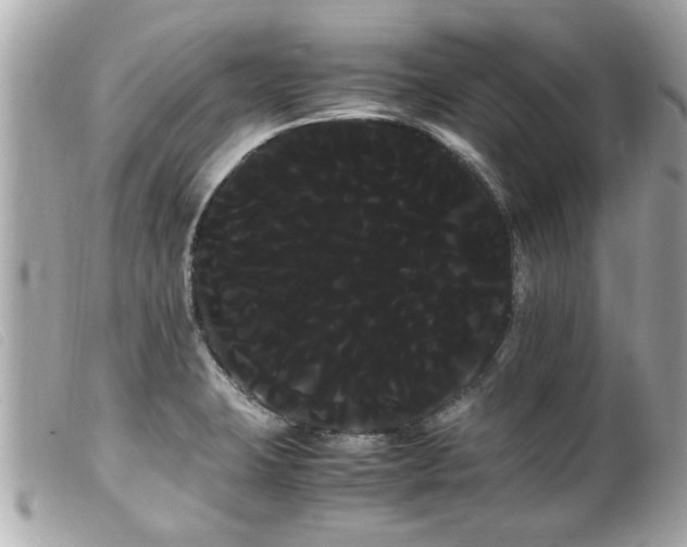 X0000100221423200805301337