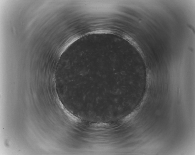 X0000100221425200805301337
