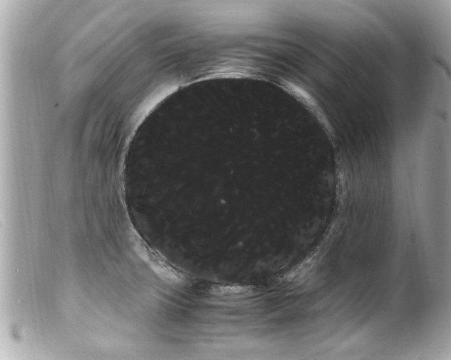 X0000100221427200805301337