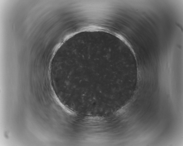 X0000100221429200805301337