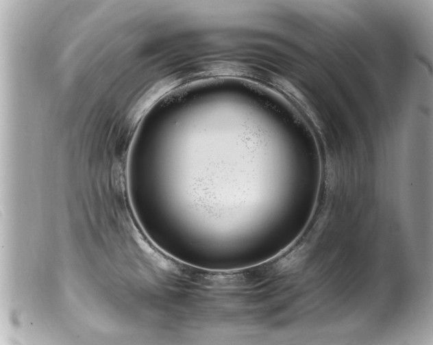 X0000100221433200805301337