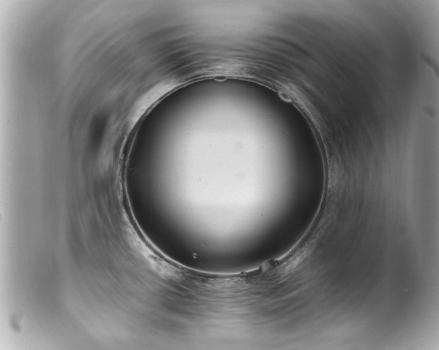 X0000100221434200805301337
