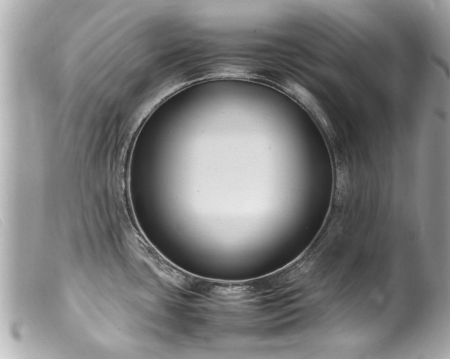 X0000100221435200805301337