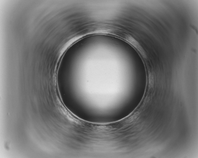X0000100221436200805301337