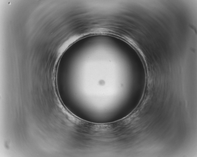 X0000100221437200805301337