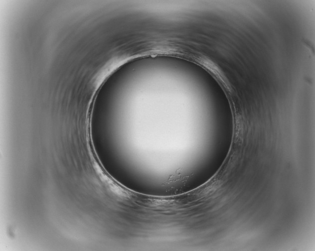 X0000100221439200805301337
