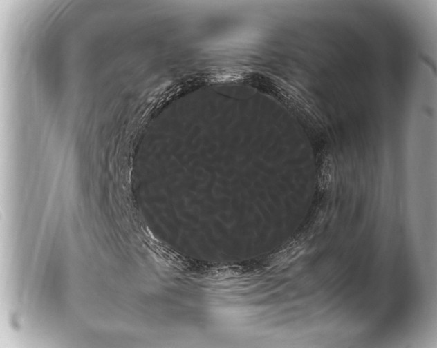 X0000100221441200805301337