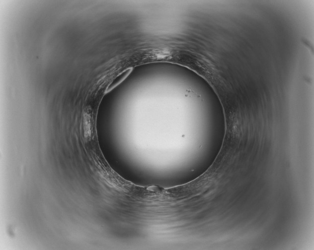 X0000100221442200805301337