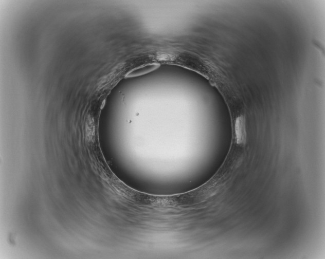 X0000100221443200805301337