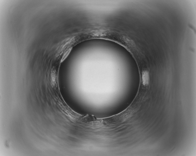 X0000100221444200805301337