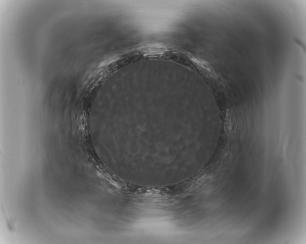 X0000100221445200805301337
